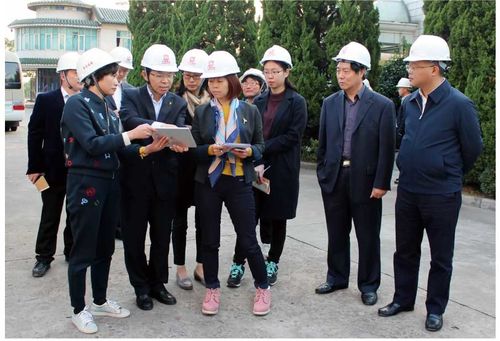 Latest company news about Στις 2 Νοεμβρίου 2016, η environmant ομάδα επίβλεψης της ΚΙΝΑΣ ερεύνησε την επιχείρησή μας